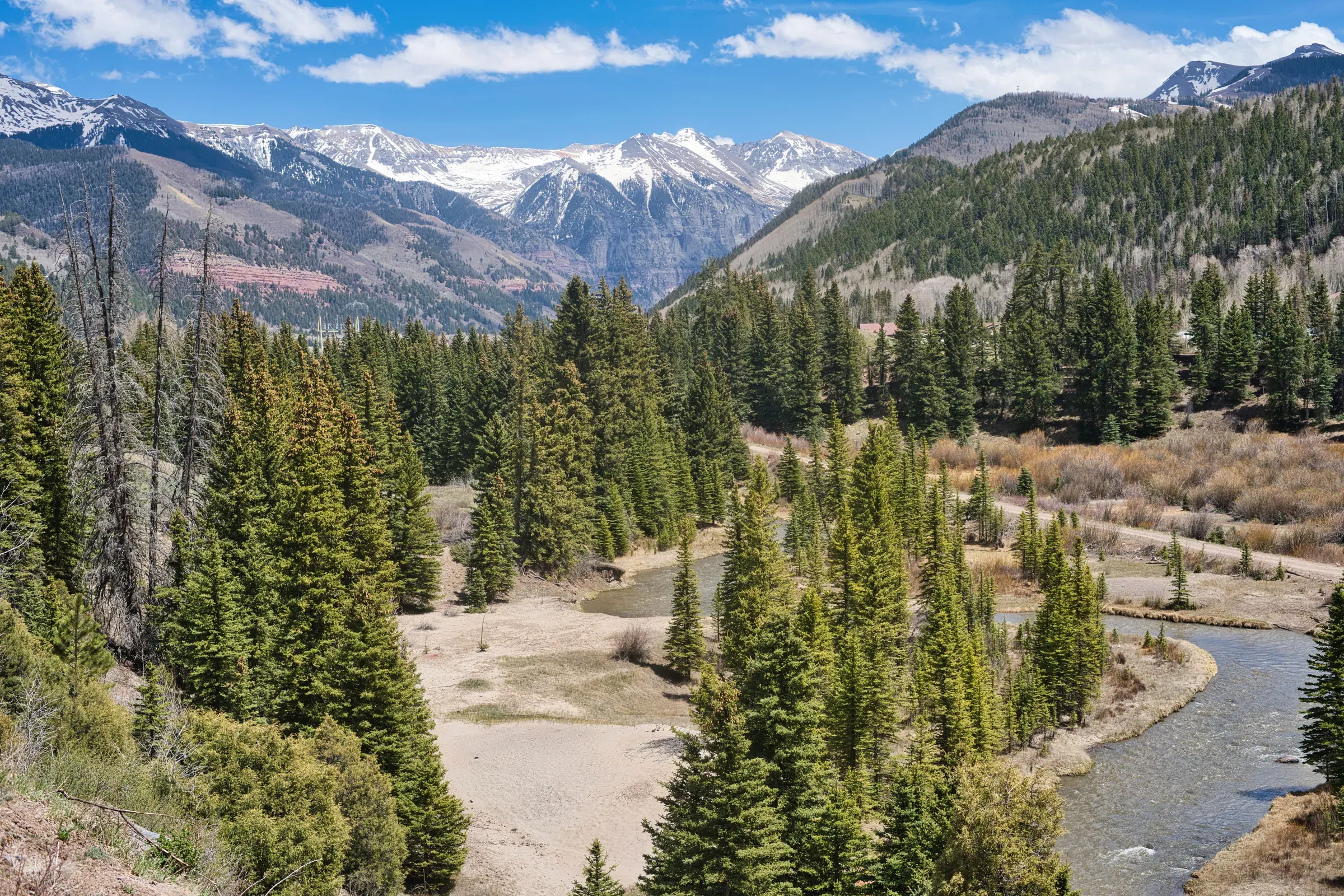 Spruce forest and a winding river beneath the San Juan Mountains